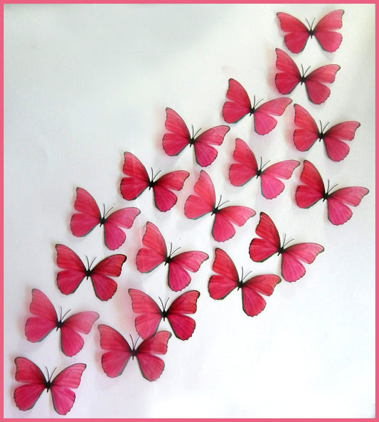 fuschia pink decor