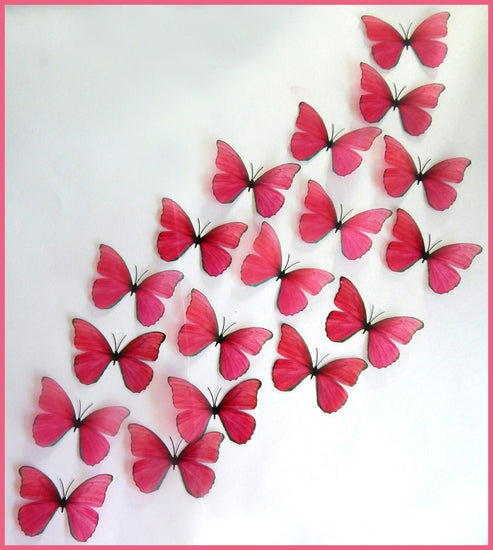 fuschia pink decor butterflies