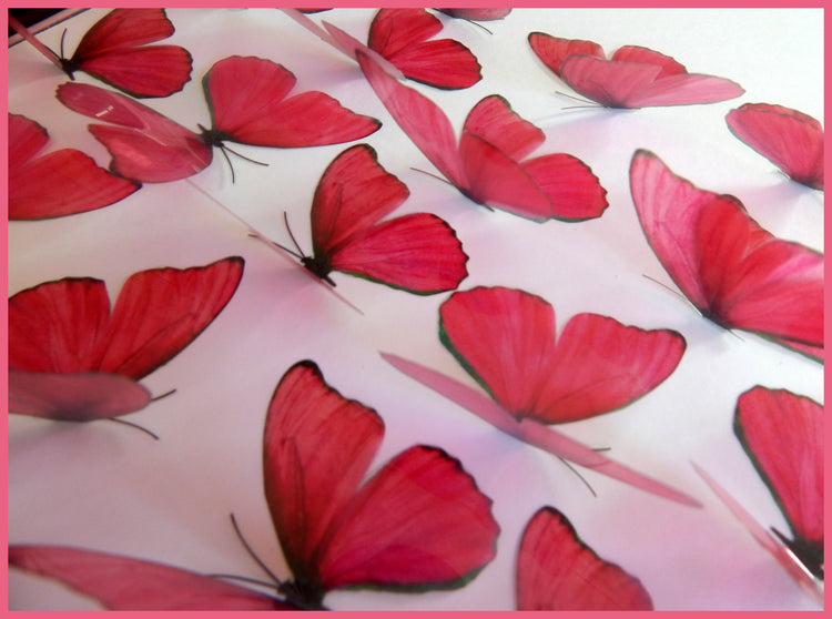 set of hot pink pink decor butterflies