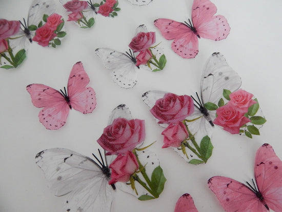 Pretty pink roses display butterflies