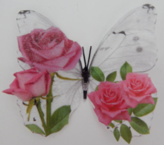 Pretty pink roses butterflies