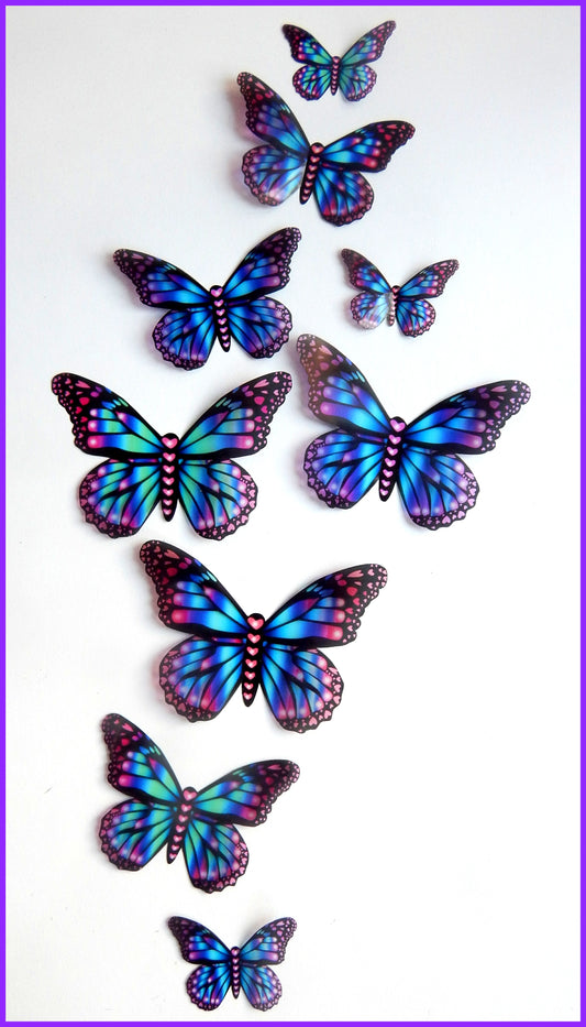 pretty butterfly