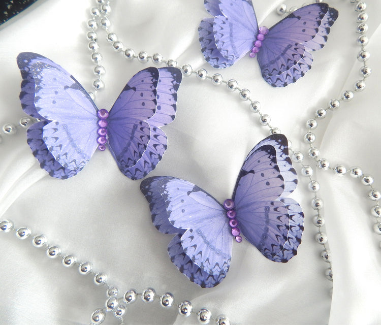 pretty lilac butterfly