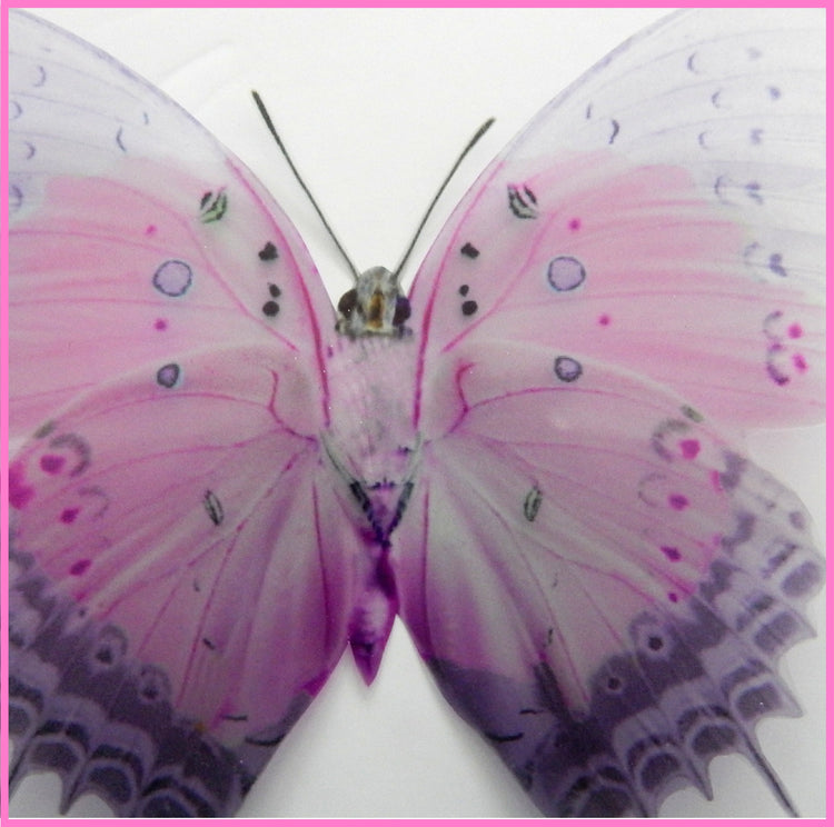 6 very pretty pink and Lilac Butterflies,designer butterflies Gift Sister Friend Mother Mum Auntie Teenager Girl Positive vibes wedding