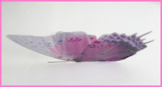 pretty pink and lilac butterfly  by flutterframes