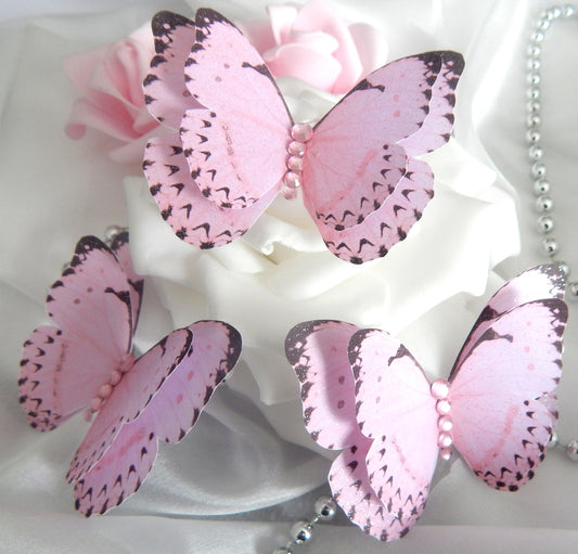 pink beautiful butterflies