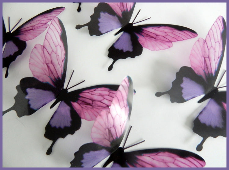 purple butterflies by flutterframes