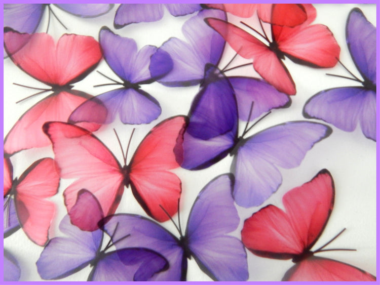 Purple, pink and blue butterflies,embellishments, wall decor wall art stickers, pretty butterflies for home