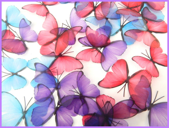 purple pink and blue butterflies
