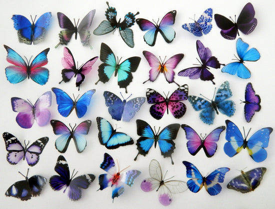 butterfly embellishments