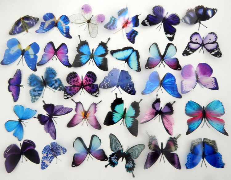 craft butterflies