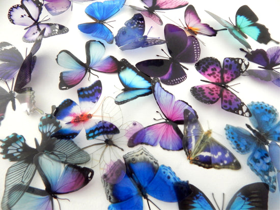 craft butterflies blue and purple