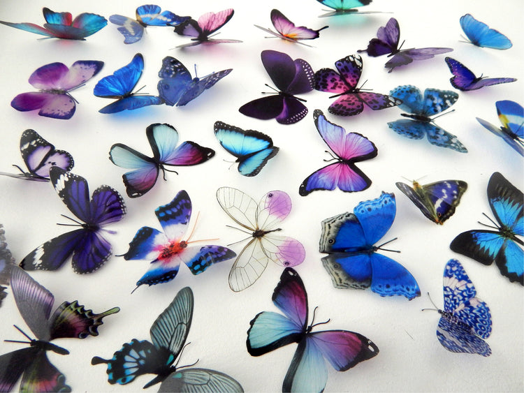 Decorative Butterflies, blue and purple scrapbooking, card making 3d wall stickers. Cut your own or have them cut for you. Craft Supplies