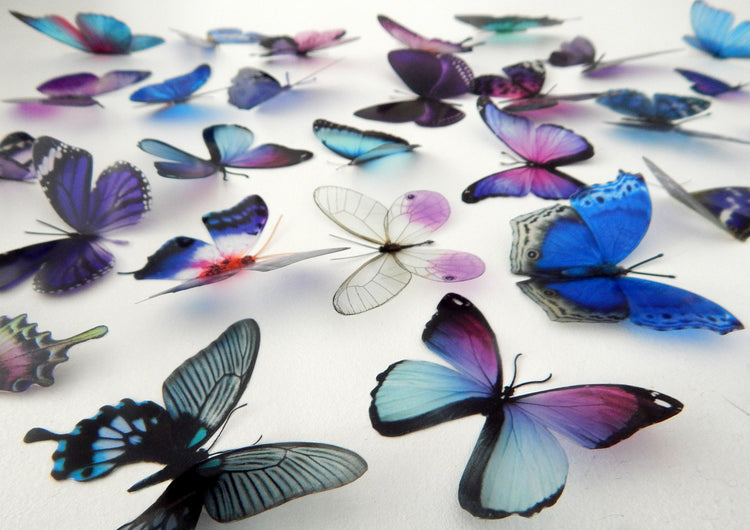 butterfly toppers