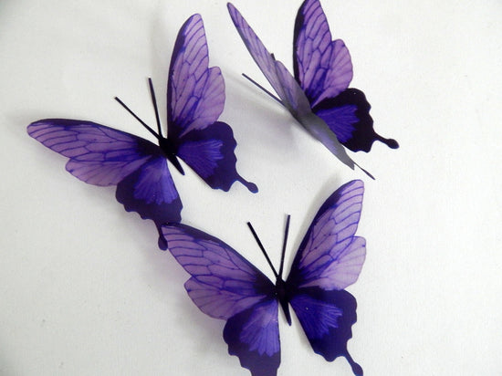 wedding butterflies