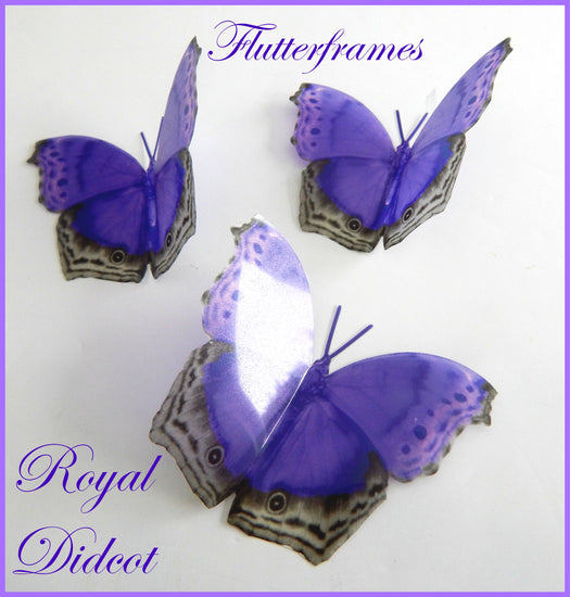 purple bedroom accessories butterflies