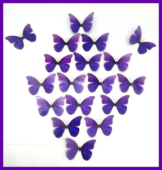 3d wallpaper butterflies
