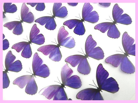 3d conservatory butterflies decor