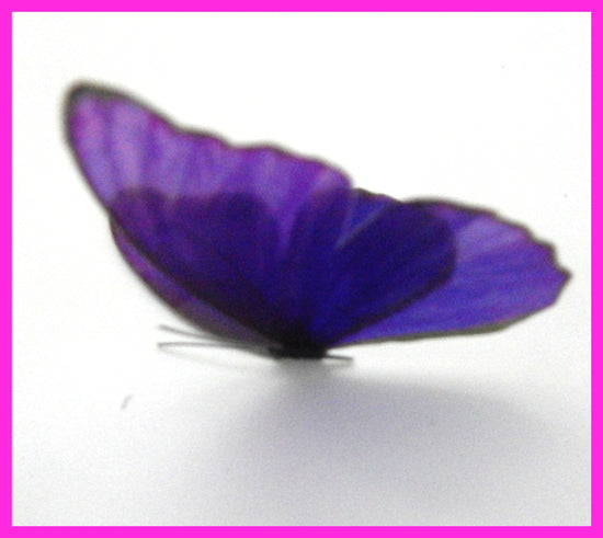 3d conservatory purple butterflies decor