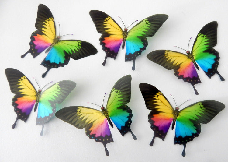 Rainbow Swallowtail Removable Butterflies, Home Decorations Wall Art wedding tables indoor decor,rainbow colours