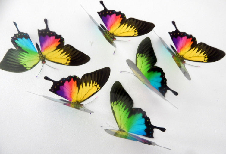 Rainbow Swallowtail Removable Butterflies, Home Decorations Wall Art wedding tables indoor decor,rainbow colours