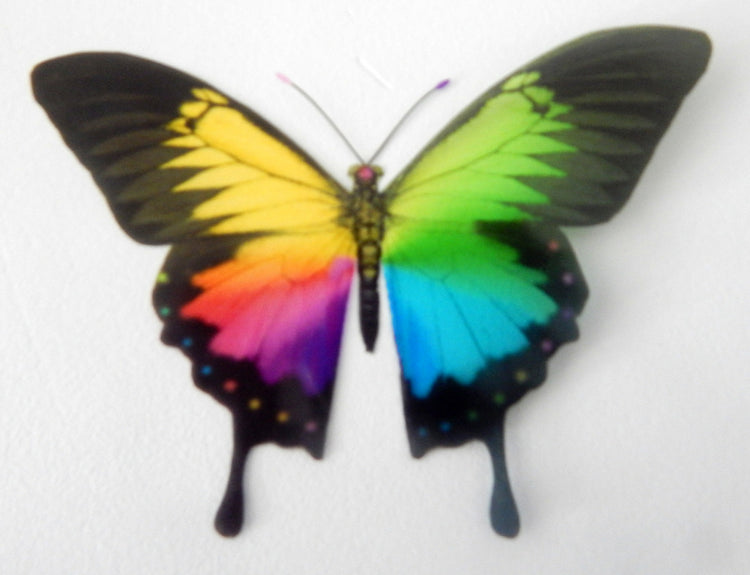 Gay lesbian home decor butterflies