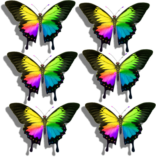 Gay lesbian home decor butterfly stickers