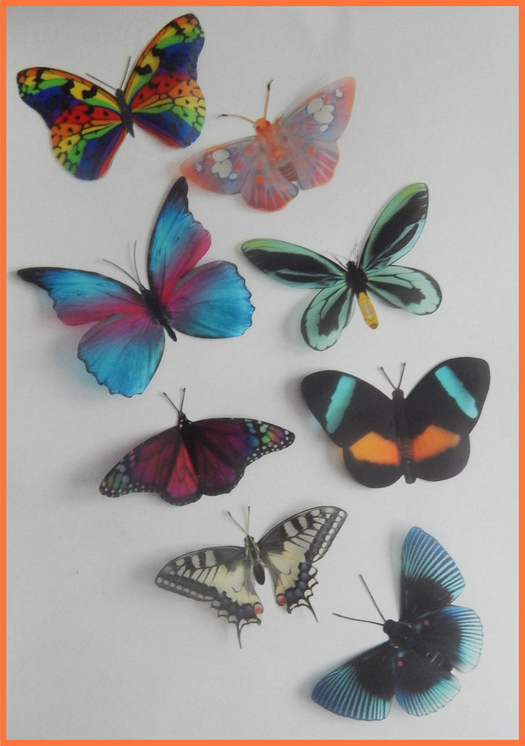 Rare natural butterflies stickers by Flutterframes