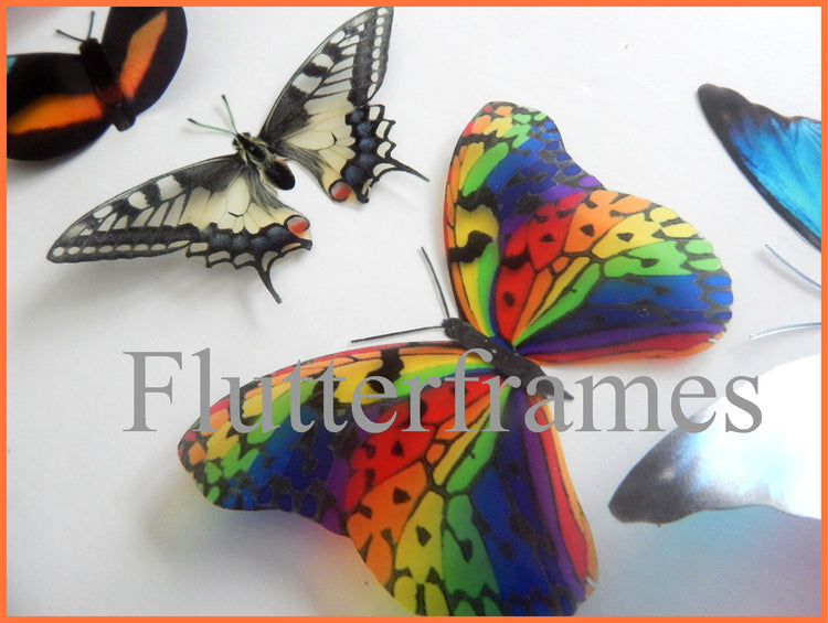 Rare collection of butterflies, 8 natural looking butterfly stickers