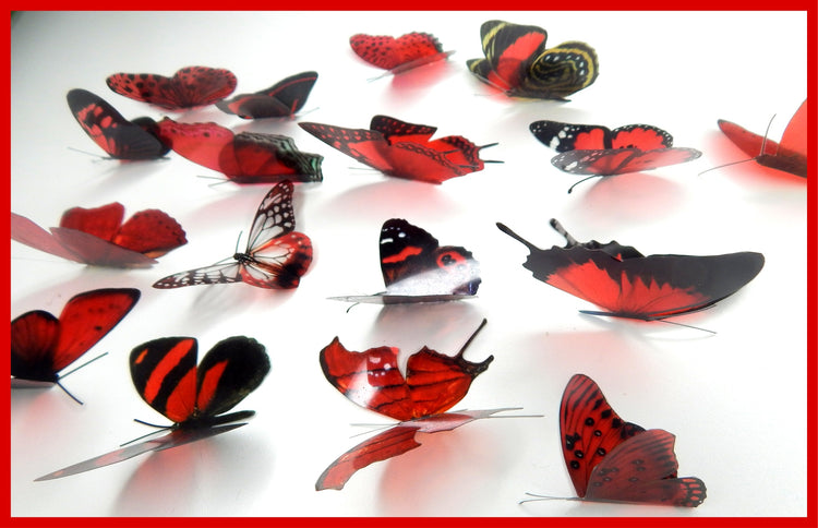 set of 17 red natural butterflies