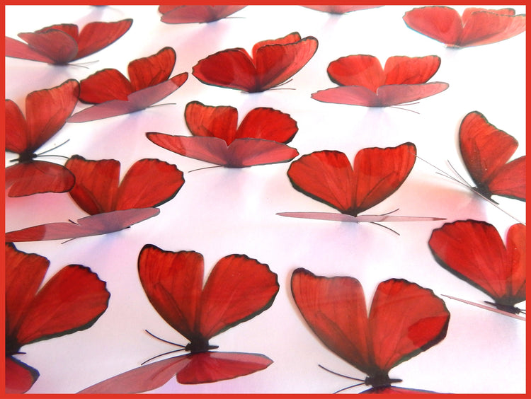 Beautiful 3D Red Butterflies, set of 18, 7cm wide. Embellishments, card making,wall decor,decorative butterflies,wedding decor,conservatory