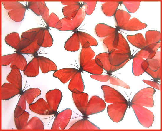 set of 18 red butterflies