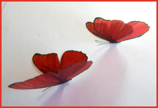 collection of 18 red butterflies