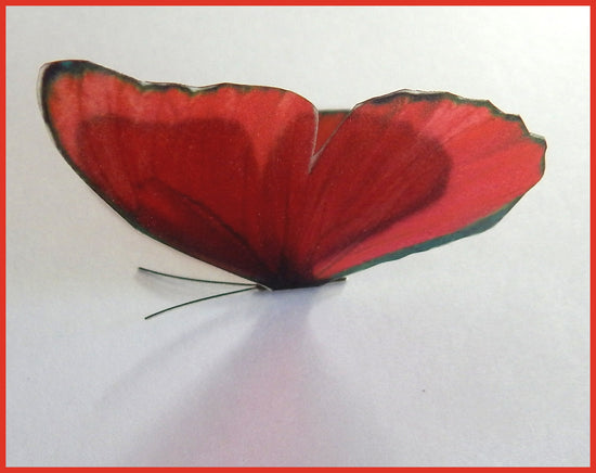 red butterfly wardrobe stickers