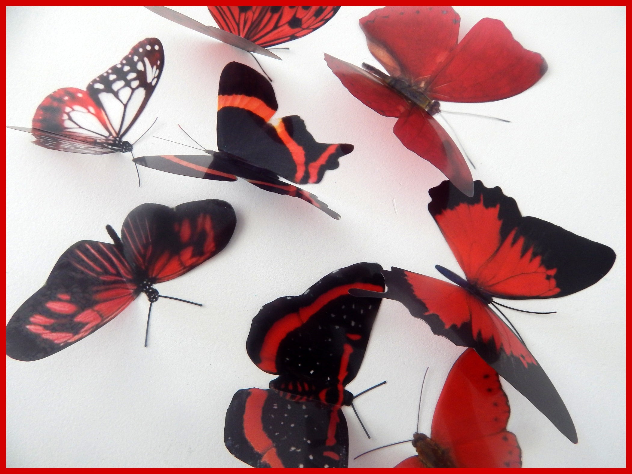 3d butterflies the Red collection 2, butterfly decor for the wall,cons ...