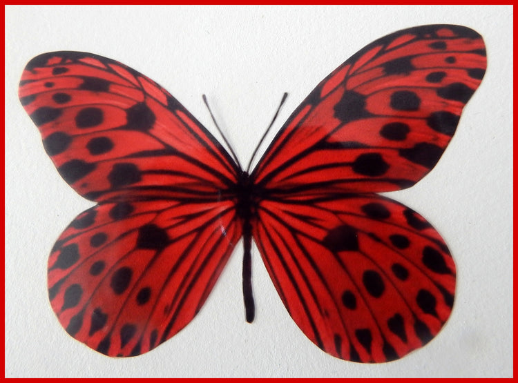 3d butterflies the Red collection 2, butterfly decor for the wall,conservatory, home,bedroom, lounge,window decorations, vase embellishments
