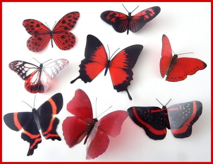 natural red butterflies