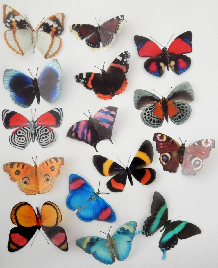 Create and craft Craft supplies butterflies