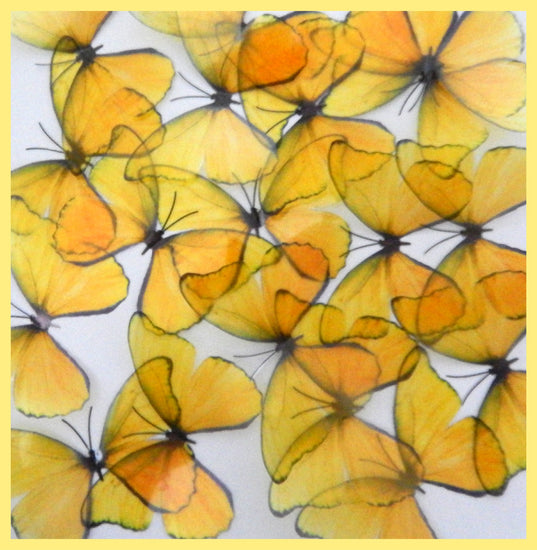 butterfly wedding decorations  yellow