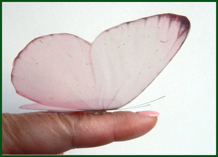 pink natural looking butterfly wall sticker
