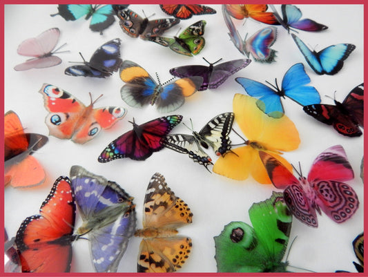 Craft Decorative Butterflies