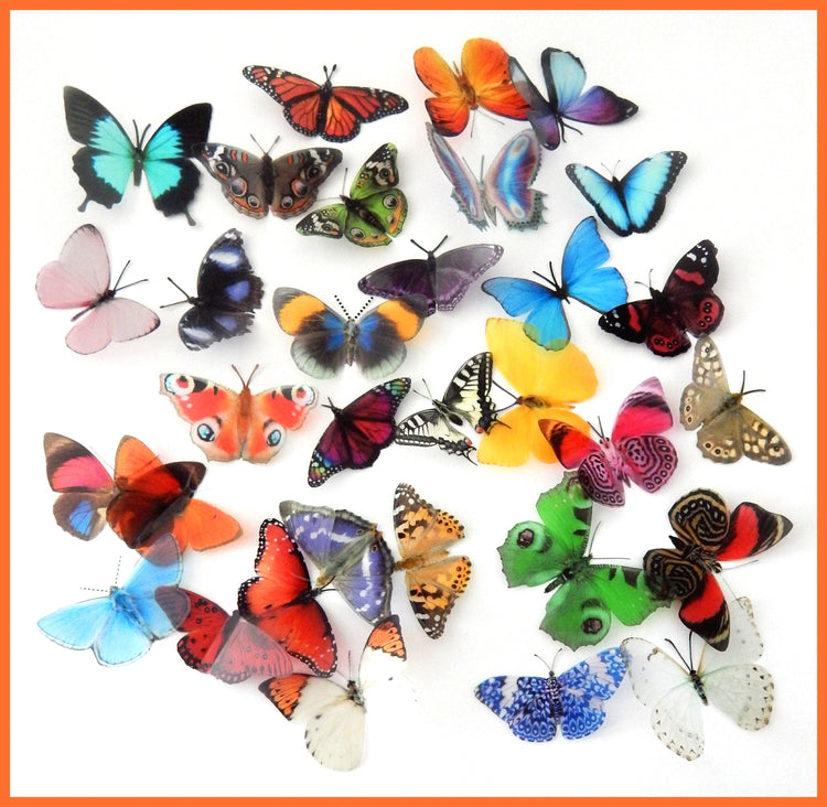 crafting butterflies scrapbooking