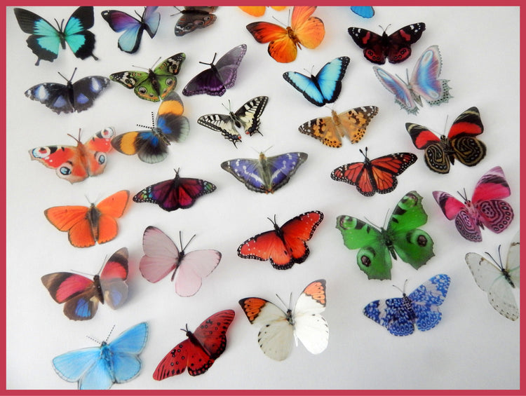 Craft Decorative Butterflies, scrap booking, card making, 3d  stickers. Cut your own or have them cut for you. Craft Supplies, Craft Butterflies