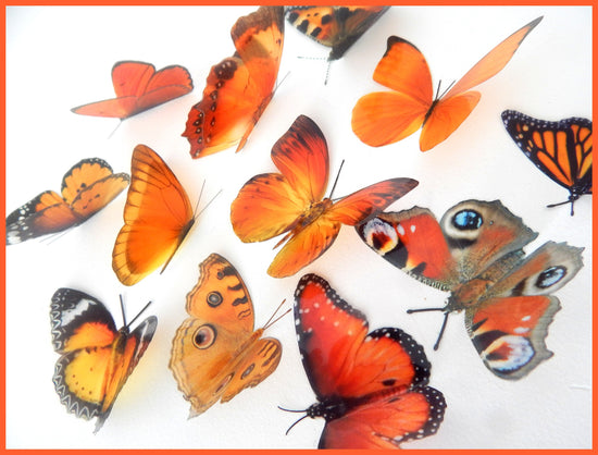 faux natural  orange butterflies