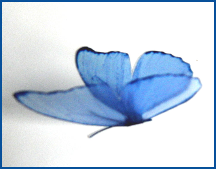 Beautiful 3D shades of blue Butterflies, set of 18, 7cm wide. Embellishments, card making,ebellishments, wallpaper ideas, 3d home decor