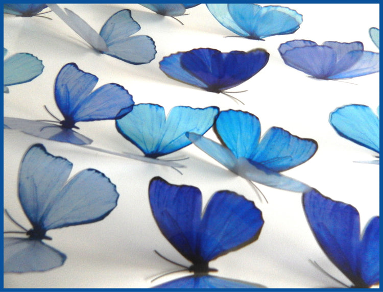 Beautiful 3D shades of blue Butterflies, set of 18, 7cm wide. Embellishments, card making,ebellishments, wallpaper ideas, 3d home decor