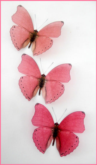 pink wall sticker butterflies