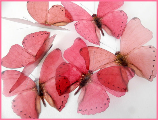 pink ombre