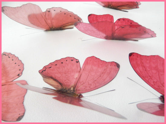 pink wedding decorations set of butterflies