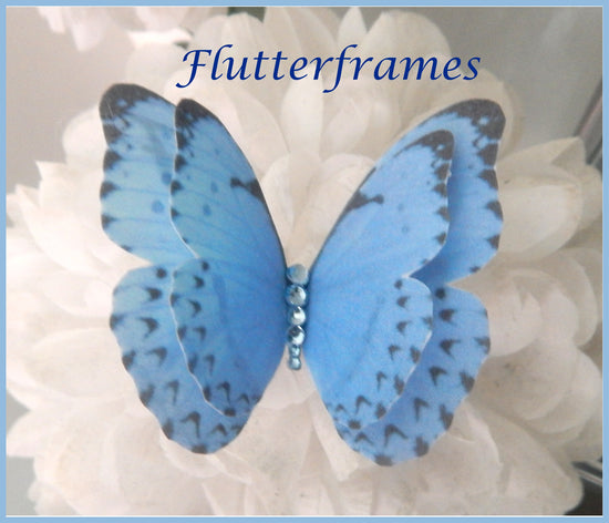 blue silk butterflies